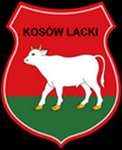 Polecana wróżka Kosów Lacki